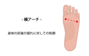 五本指靴下を履くと身体のバランスが悪くなるのか？開張足の関係性と併せて調べてみた - 株式会社インナー・ファクト